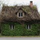 87-Year-Old Man Hasn’t Cleaned His House in 70 Years – See Inside!