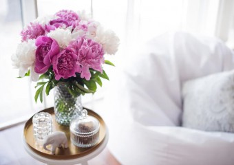 9 Best Houseplants for Good Feng Shui