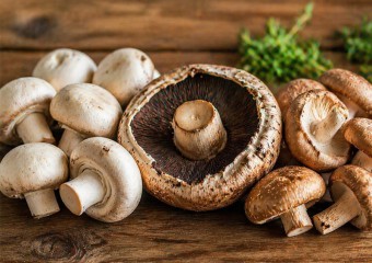 Eating Mushrooms Every Day — Is It Actually Good or Bad for You?