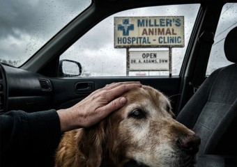 Dog is taken to be euthanized – minutes later, something unexpected happens…