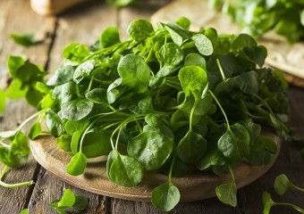 This Overlooked Leaf Beats Spinach, Broccoli, and Kale as the Healthiest Vegetable