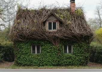 87-Year-Old Man Hasn’t Cleaned His House in 70 Years – See Inside!