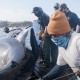 These sailors found a giant shark – You won’t believe what they found inside!